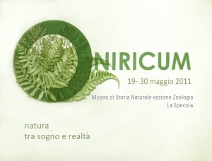 Mostra Oniricum Firenze