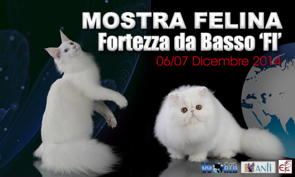 worldcatsfirenze1